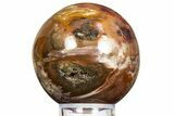 Colorful Petrified Wood (Araucaria) Sphere - Madagascar #323608-1